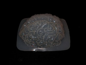 brain mold 004