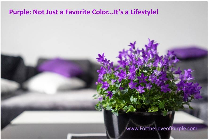 What’s new at For the Love of Purple?