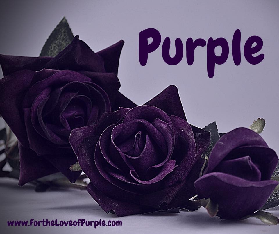 Newest Purple Creations